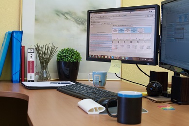 Contribuciones al XBRL Contribuciones de Reporting Standard al XBRL